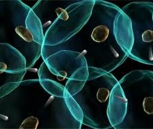 Cool Pheromones and Employment Opportunities