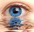 human eye