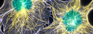 biophotonic-intercommunication