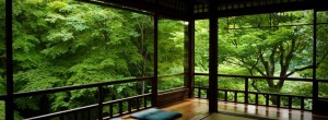 Chi Energyconsistant training