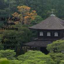 Chi Energy Form Training Part One