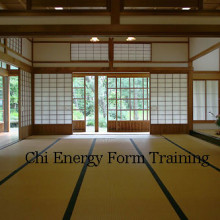 Chi Energy Form Training Part Four