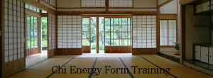 The Online School of Chi Energy Training