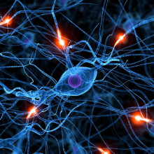 Chi Energy’s Nerve Fiber Building Exercise