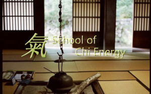 The First Year of Chi School – Chi Energy Training Blog