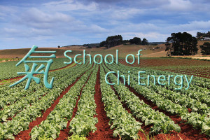Chi Energy Training & Nutrition Basics – Chi Energy Training Blog